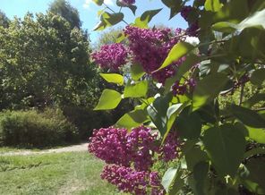 IMG_20170525_111136