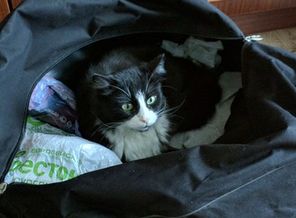 IMG_20180105_124147