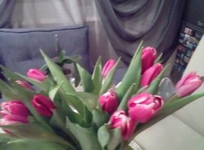 IMG-20180212-WA0003