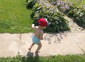 IMG_20170820_125034