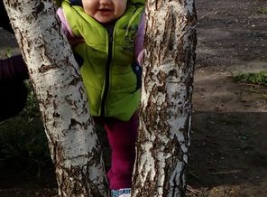 IMG_20170430_171102
