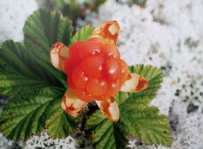 IMG_20180210_115140
