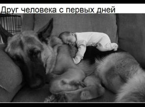 wp_ss_20170125_0001