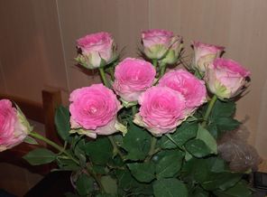 20170823_184447.jpg