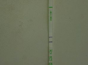 IMAG1713