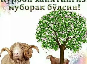 IMG_20170901_093105_504