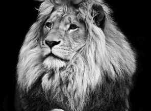 IMG-83ee2aa1c7feeae66d76d1574c54addc-V