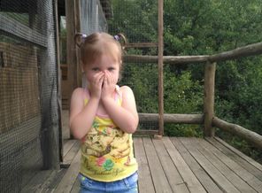 IMG_20170715_170908
