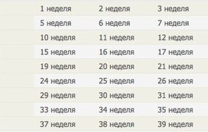 9-nedelya-beremennosti-chto-proishodit-s-plodom-i-budushchej-mamoj-6