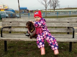 IMG_20170325_185342