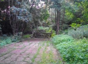 IMG_20170805_213145_418
