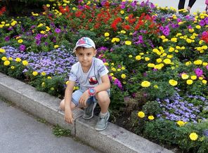 IMG_20170827_142456