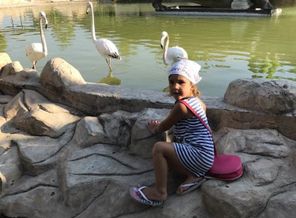 image-0-02-04-f6a9d20736f21a788de09743df4cfe8e4149dceee4f94234999367ed23c6cb7e-V.jpg