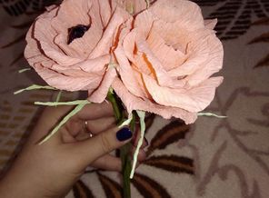 image (9).jpg
