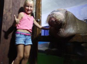 IMG_20170812_193658.jpg