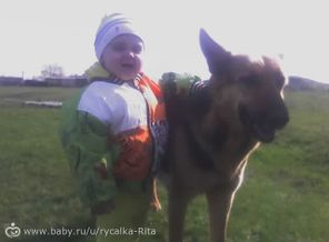 на прогулге