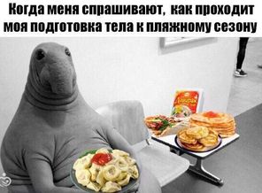 Si6ZOvtfpJE.jpg