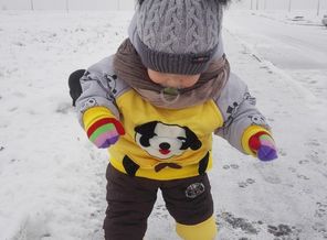 IMG_20171129_152009