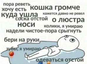 0052d7540cf76de5a5bd667b846cd536929.310