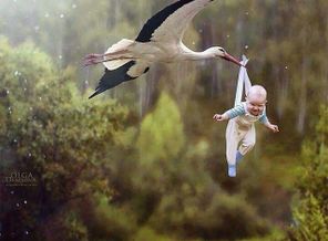 image-0-02-05-40cfc9ac145a3e424daed00770f285fcda50b61682a10aa071d4f2854d5dcad3-V