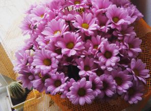 IMG_20170520_113525_528