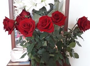 IMG-20170720-WA0002