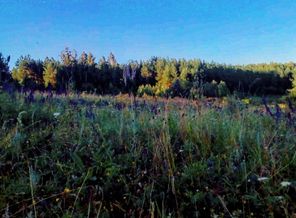 IMG_20170802_200424_143