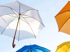 Umbrella story (2)_&_0b1561f6-77be-4333-985a-afb3d5ccfdee