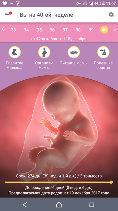 Стул на 39 неделе беременности