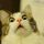 Котя