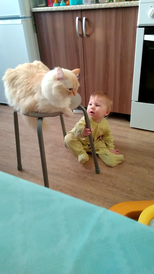 9 месяцев