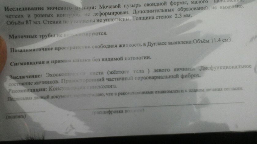 Заключение узи