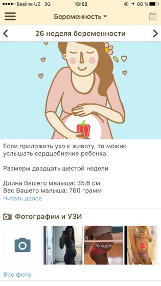 Вес плода