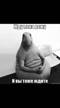 Приложение пишет что до