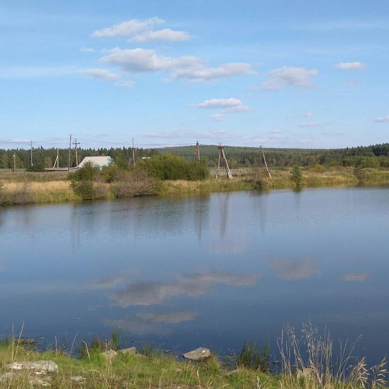 Хорошо в деревне!☀