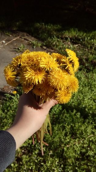 Неужели веснааа