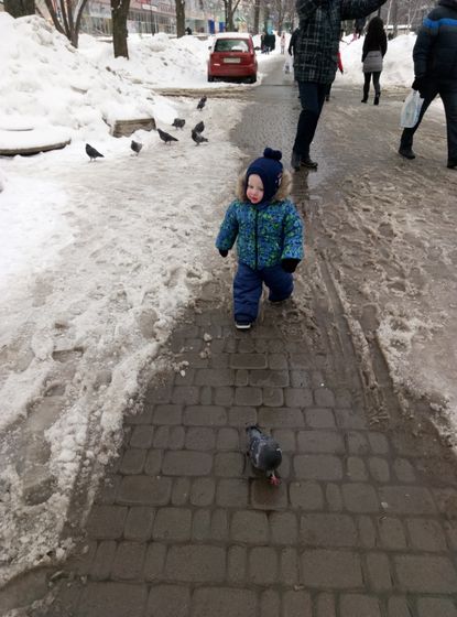Наши прогулки