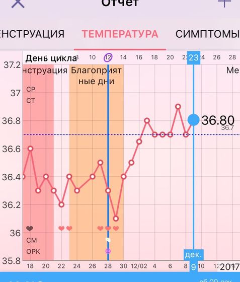 График бт