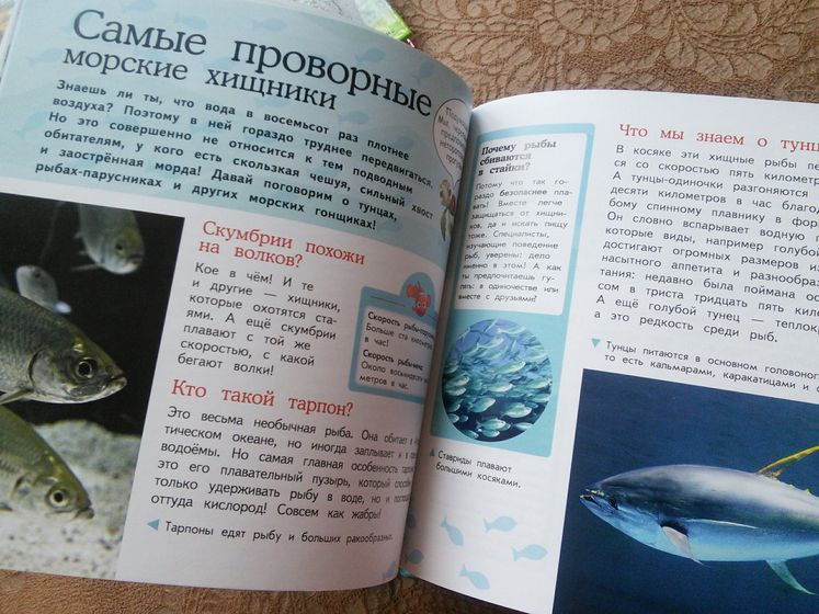 Наши новые энциклопедии
