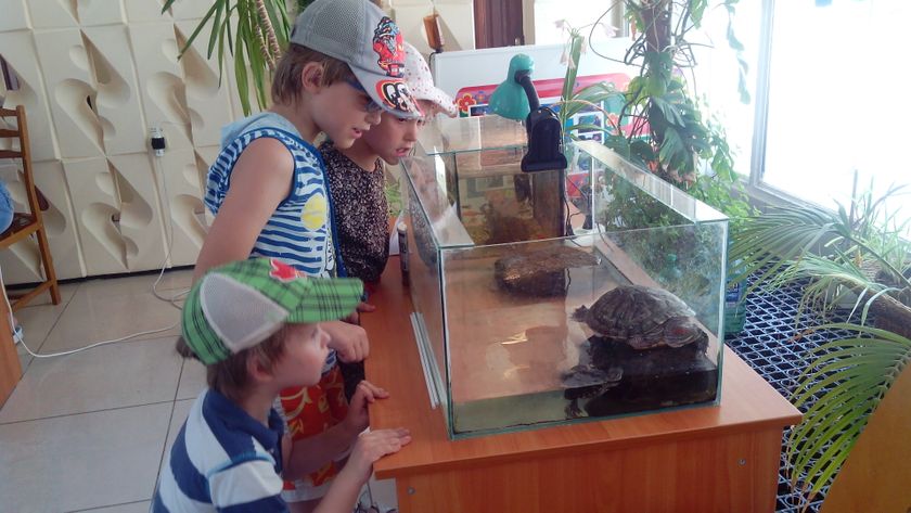 Сегодня были в парке Ленинского Комсомола. Фото много. Кому интересно посмотреть.