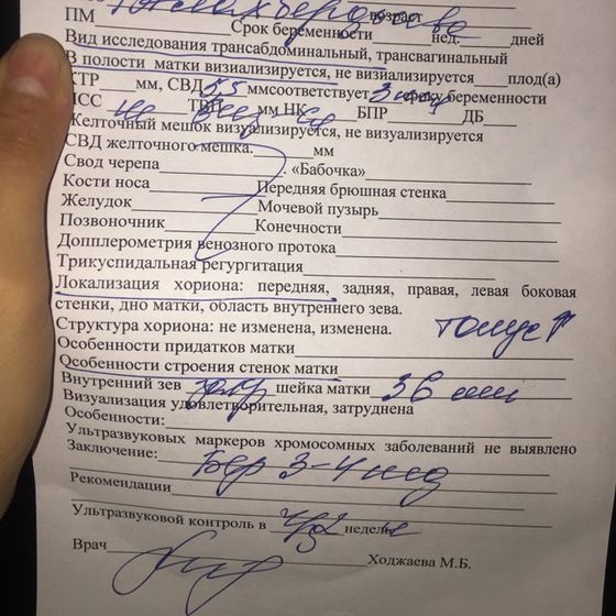 У МЕНЯ ИСТЕРИКА, СХОДИЛА НА УЗИ