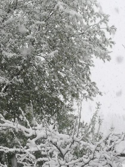 С 10мая Москва и М.о утричкооо доброе