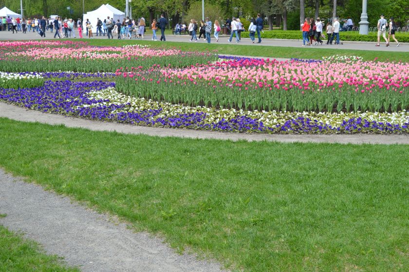 "РетроФест" в Сокольниках, 20.05.2017.