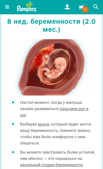8-неделя беременности