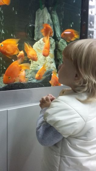 Сегодня 1скрининг...