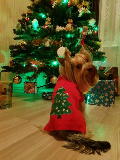 С наступающим!!! 2018