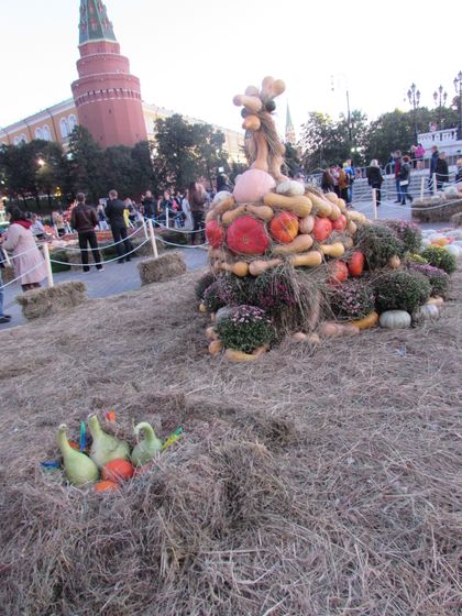Фестиваль