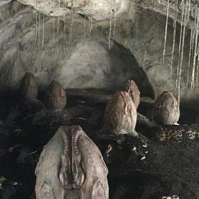 Чужой: Завет