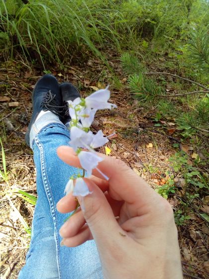 Уедениться в лесу на пару часов это счастье!
