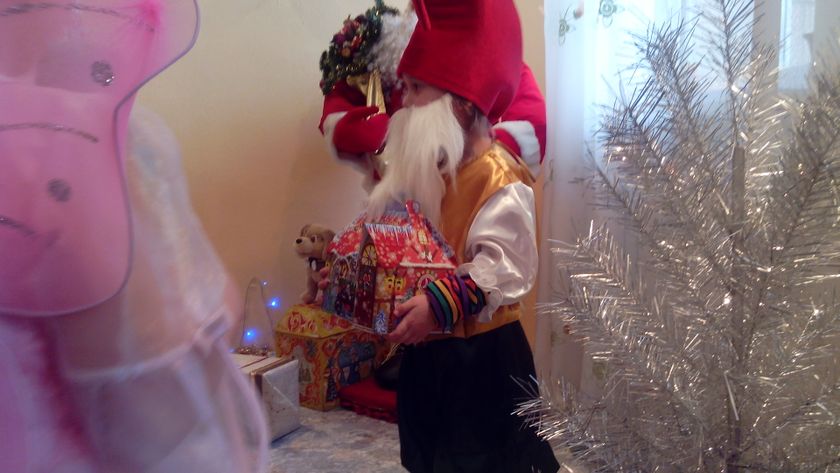 Новый год . Фото. декабрь 2017 год